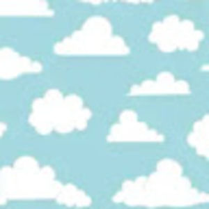 Meet your Posher, Corinne